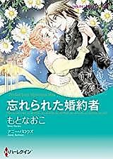 Cover image for Devilish Lord, Mysterious Miss
