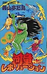 Cover image for Kappa Revolution