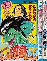 Cover image for Original Kappa Revolution