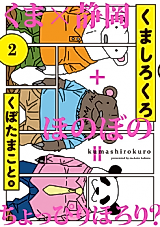 Cover image for Bear and White