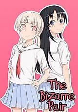 Cover image for The Bizarre Pair