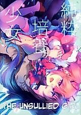 Cover image for The Unsullied Girl (Puella Magi Madoka Magica)