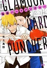 Cover image for Hardcore puncher