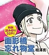 Cover image for Mekage Bridge Lost and Found