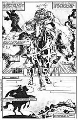 Cover image for The Bushi