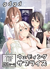 Cover image for Wedding Surprise