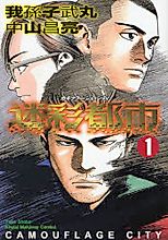 Cover image for Camouflage City