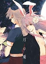 Cover image for Touhou dj - Gatsu no Usagi