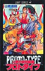 Cover image for Prototype