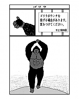 Cover image for Gorilla