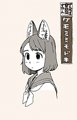 Cover image for The Life Cycle of Mock Animal Ears