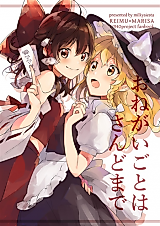 Cover image for Touhou Project dj - Onegaigoto wa Sando made