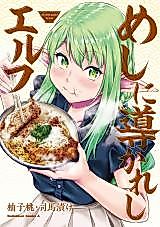 Cover image for The Elf Guided by Food