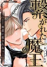 Cover image for The Connected Demon King