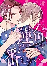 Cover image for Unmei Dake ja Tsugaenai