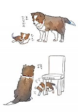 Cover image for Senpai and Kouhai