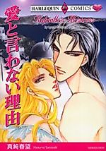 Cover image for Rafaello's Mistress