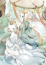 Cover image for A Collection of Cat Drawings