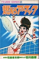 Cover image for Burn Attack