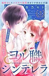 Cover image for Night Work Cinderella