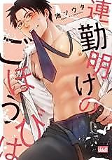 Cover image for Renkin'ake no Gohoubi wa