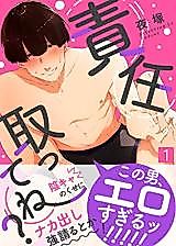Cover image for Sekinin Totte ne?