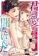 Cover image for Kimi no Aishiteru ga Kikitainda