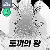 Cover image for Rabbit King