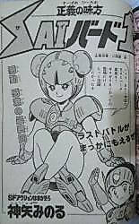 Cover image for SAI Bird