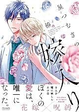 Cover image for Hoshi Tsumugi no Yomeiri