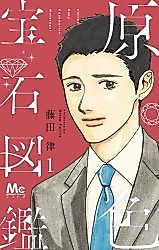 Cover image for Genshoku Houseki Zukan