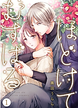 Cover image for The Spring Storm in My Heart