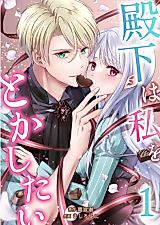 Cover image for Denka wa Watashi wo Tokashitai
