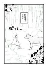 Cover image for The Story of the Wolf Who Picked up Little Red Riding Hood