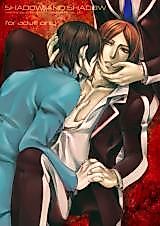 Cover image for Persona 2 dj - Shadow and Shadow
