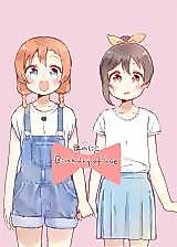 Cover image for (C92) ほのにこBirthday of Love (ラブライブ!)