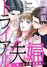 Cover image for Trial Fuufu - Tsuma no Otto no Shiyou Kikan