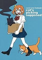 Cover image for Love Live! dj - cat's picking supposed