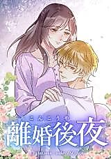 Cover image for The Night After the Divorce