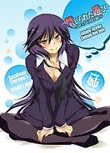 Cover image for Infinite Stratos dj - Kinjirareta Asobi