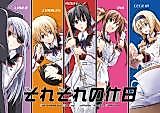 Cover image for Infinite Stratos dj - Sorezoreno Kyuujitsu