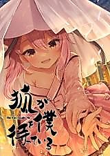 Cover image for The Fox Awaits Me