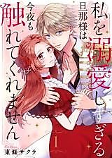 Cover image for Watashi wo Dekiaishi Sugiru Danna-sama wa Konya mo Furete Kuremasen