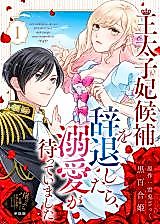 Cover image for Outaishihi Kouhou wo Jitai shitara, Dekiai ga Matteimashita