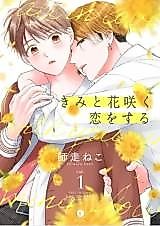 Cover image for Kimi to Hanasaku Koi wo suru