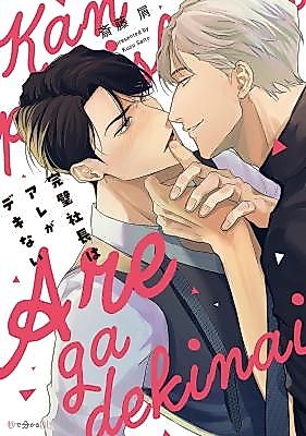 Cover image for Kanpeki Shachou wa Are ga Deki Nai