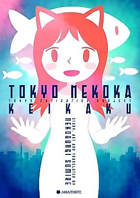 Cover image for A Journey in the Sky