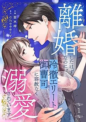 Cover image for Doting Romance With a Cold-Hearted Wealthy Heir: Weren't We Supposed to Be Divorced?!