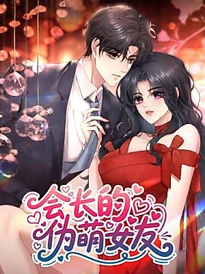 Cover image for The President's Fake Girlfriend
