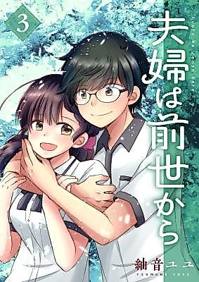 Cover image for The Couple from Previous Lives